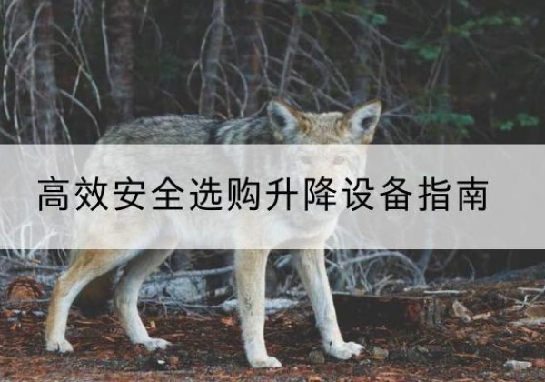 西沙升降货梯厂家推荐-*安全选购升降设备指南