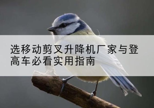 西沙电动升降机厂家-选移动剪叉升降机厂家与登高车必看实用指南