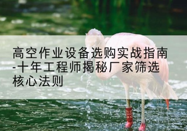 西沙剪叉式升降机厂家-高空作业设备选购实战指南-十年工程师揭秘厂家筛选核心法则